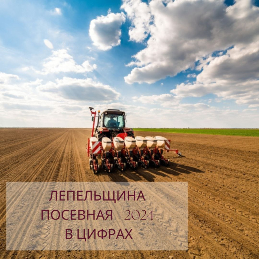 В Беларуси ранние яровые зерновые и зернобобовые посеяны на 54,1 тыс. га