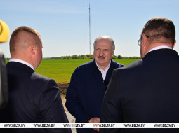 Лукашенко об изменениях в работе ИП: это не значит, что мы всех загоним в стойло, но должен быть порядок